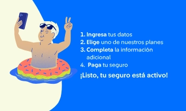 seguro vehicular online